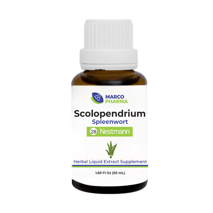 Scolopendrium 50 mL
