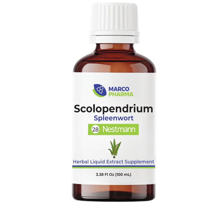 Scolopendrium 100 mL