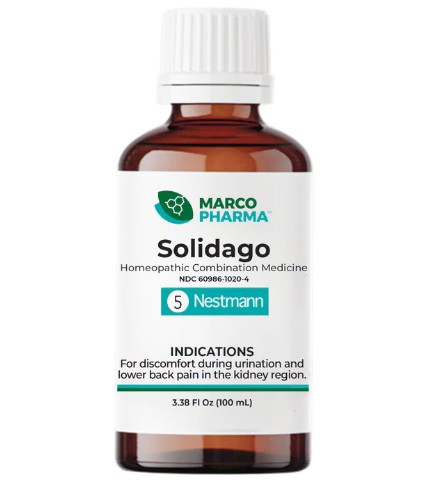 Solidago